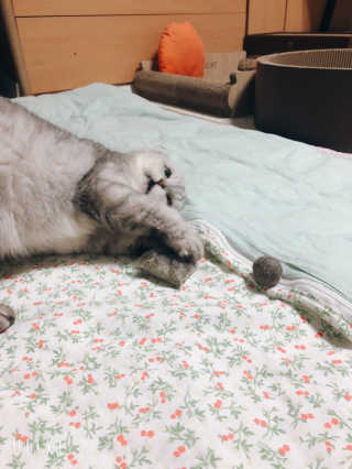 토모님이 올린 리뷰 사진 4