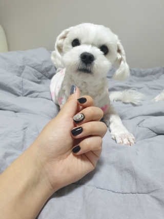 뽀야님이 올린 리뷰 사진 4