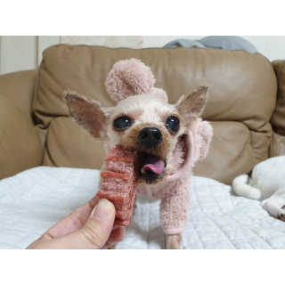 mini unni님이 올린 리뷰 사진 2