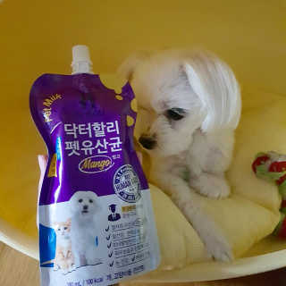 이수진님이 올린 리뷰 사진 2