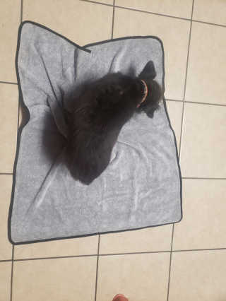 vynguyen123님이 올린 리뷰 사진 1