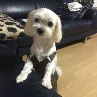 BoeunLee님이 올린 리뷰 사진 2