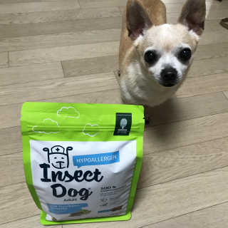 꽃사과님이 올린 리뷰 사진 1