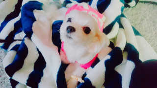 이수진님이 올린 리뷰 사진 2