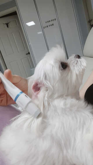 나란여자🤦‍♀️🤷‍♀️💁‍♀️님이 올린 리뷰 사진 1