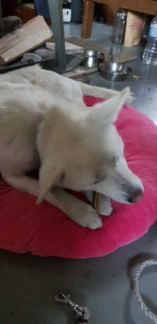 Jenny님이 올린 리뷰 사진 2