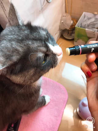 민토리님이 올린 리뷰 사진 1
