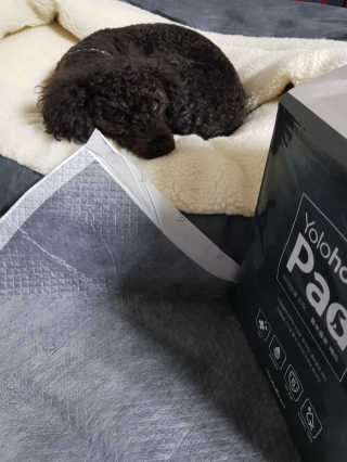 찐♡♡♡님이 올린 리뷰 사진 3