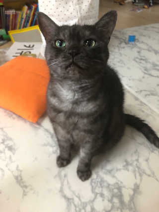 째콩이네님이 올린 리뷰 사진 2