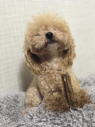 한지님이 올린 리뷰 사진 2