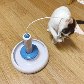 아꽁님이 올린 리뷰 사진 2