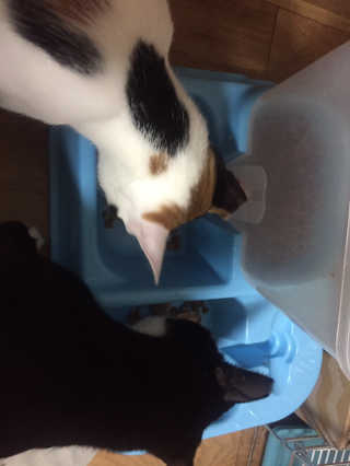 까꿍님이 올린 리뷰 사진 3