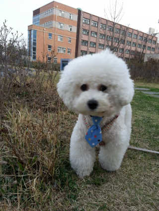 KAY님이 올린 리뷰 사진 1