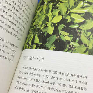DaYeonJung님이 올린 리뷰 사진 1