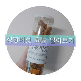 율ʕ•ᴥ•ʔ님이 올린 리뷰 사진 1