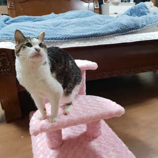 루잉루잉님이 올린 리뷰 사진 2