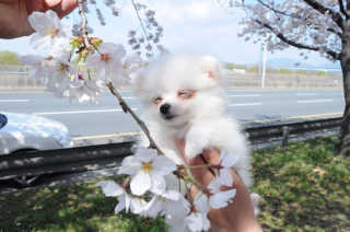 다용zz님이 올린 리뷰 사진 1