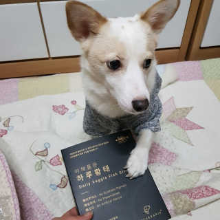 펫테라피 플레이트 야채품은 하루황태 — 5점을 준 리뷰어가 2020년 2월 올린 사용 사진