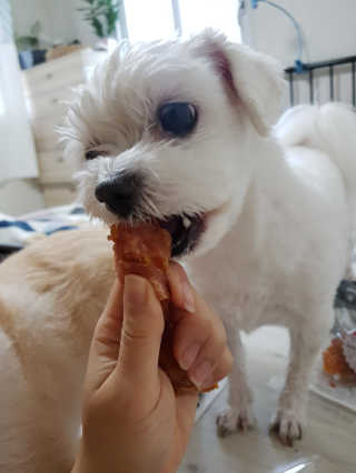 정혜수님이 올린 리뷰 사진 2