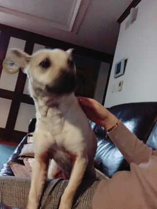 elizabeth님이 올린 리뷰 사진 3