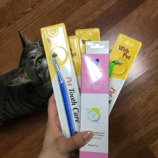 다니당근님이 올린 리뷰 사진 1