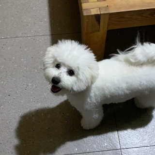 근님이 올린 리뷰 사진 1