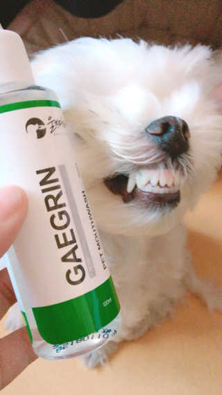 박은비님이 올린 리뷰 사진 1