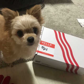 감자님이 올린 리뷰 사진 1
