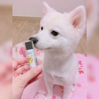 뿌꾸님이 올린 리뷰 사진 4