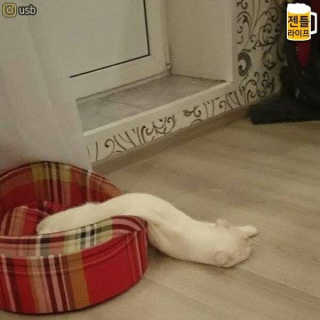슈퍼비님이 올린 리뷰 사진 3