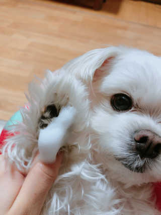 야미리미님이 올린 리뷰 사진 2