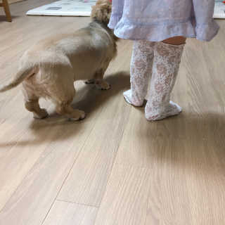 bora6943님이 올린 리뷰 사진 2