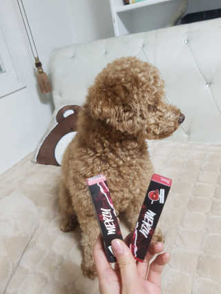 망고맘님이 올린 리뷰 사진 1