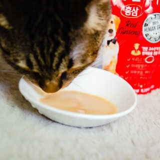 2019yaap님이 올린 리뷰 사진 4