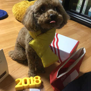 베이컨박스 — 5점을 준 리뷰어가 2018년 1월 올린 사용 사진