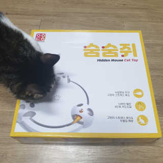 요정요정님이 올린 리뷰 사진 1