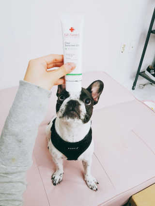 김민지님이 올린 리뷰 사진 2