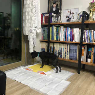 kclabt님이 올린 리뷰 사진 3