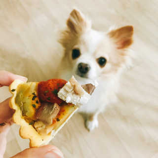 욜랭이님이 올린 리뷰 사진 3
