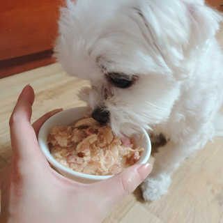 [펫토리아] 토로토로 하치  강아지 파우치간식 — 4.5점을 준 리뷰어가 2019년 6월 올린 사용 사진