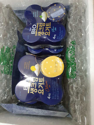 [매일 바이오] 생크림요거트 플레인 12개 + 유자 12개 — 5점을 준 리뷰어가 2019년 6월 올린 사용 사진
