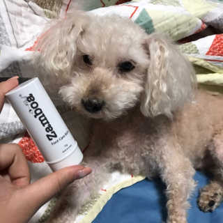 찡님이 올린 리뷰 사진 1