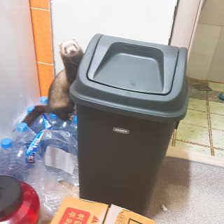 창신리빙 프랑코 퍼블릭 스윙 휴지통 10L, 25L, 35L — 3.67점을 준 리뷰어가 2019년 9월 올린 사용 사진