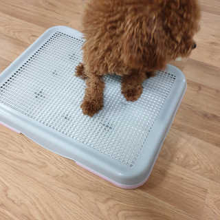 은구슬님이 올린 리뷰 사진 2