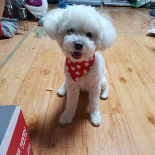 김요물님이 올린 리뷰 사진 2