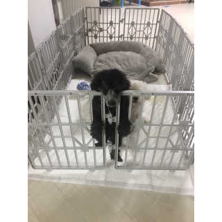 민아님이 올린 리뷰 사진 3