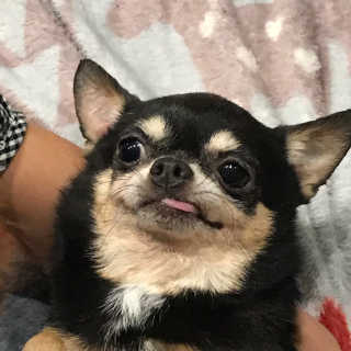 무농진님이 올린 리뷰 사진 1