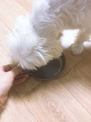 jbloss0m님이 올린 리뷰 사진 2