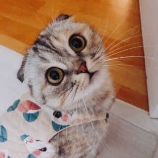 gus님이 올린 리뷰 사진 3