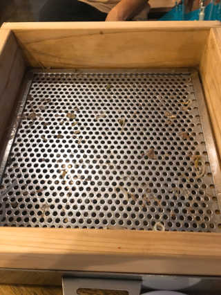 리라님이 올린 리뷰 사진 2